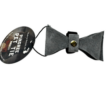 Load image into Gallery viewer, Pingree Pet Tie