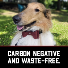 Load image into Gallery viewer, Pingree Pet Tie