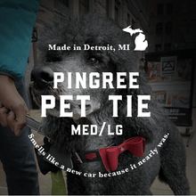 Load image into Gallery viewer, Pingree Pet Tie